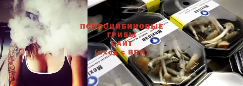 Галлюциногенные грибы Psilocybe  купить закладку  Бологое 